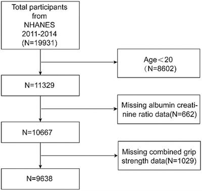 Association between grip strength and albuminuria in the general United States population: NHANES 2011–2014